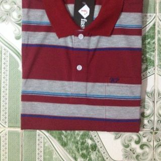 Áo thun sọc vi tính