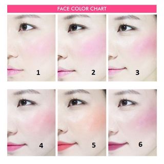 Son má hồng TIS Technicolor 6 màu