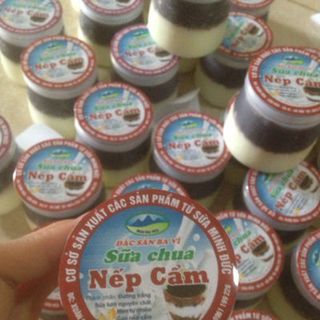 sữa chua nếp cẩm ba vì Minh Đức Milk