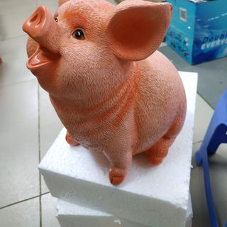 Heo tiết kiệm 5d