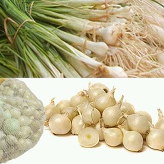Hành Tăm củ nén