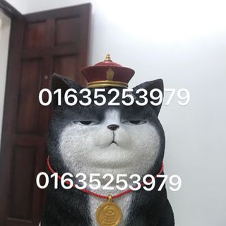 Mèo Chó cách cách