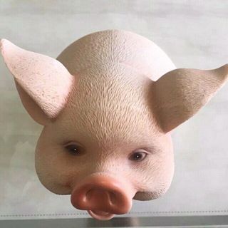 heo đất tiết kiệm
