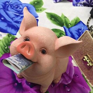 heo đất tiết kiệm