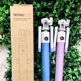 gậy chụp ảnh mono