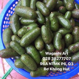 Bơ Ngón Tay - Bơ Không Hạt