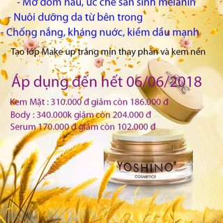 MELASMA SOLUTION - PREVENT AGING - Kem Giảm Nám - Ngăn ngừa lão hoá YOSHINO