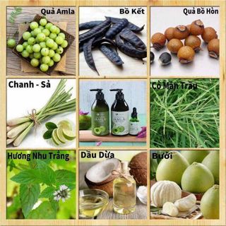 Serum AMLA