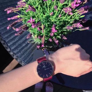 Đồng hồ Dww roselyn baywater