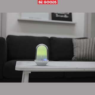 Loa Bluetooth BTS 101