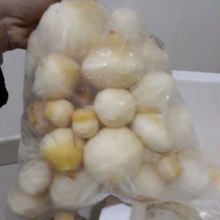 mộng dừa