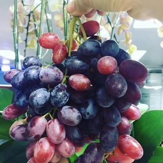 Nho Úc không hạt