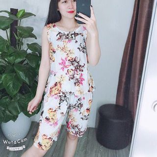 Bộ lanh lửng bèo gấu