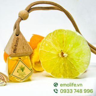 Tinh Dầu Treo Xe Sả Bưởi