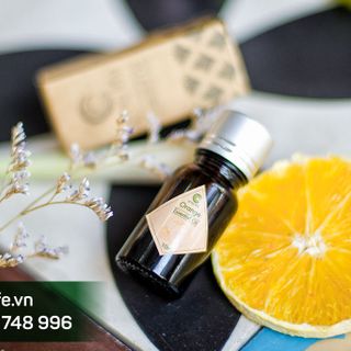 Tinh Dầu Vỏ Cam