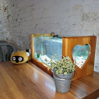 Bể cá mini khung gỗ để bàn