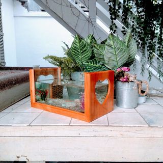 Bể cá mini khung gỗ để bàn