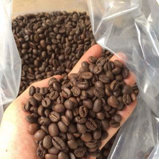 Sỉ Cà phê Robusta Rang MỘC/Xay Nguyên Chất Dòng PREMIUM