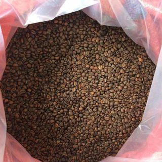 Sỉ Cà phê Robusta Rang MỘC/Xay Nguyên Chất Dòng PREMIUM