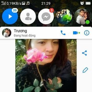 Lá Nam Đặc Trị Nám Tàn Nhang