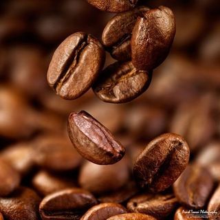 Sỉ Cà phê Robusta Rang MỘC/Xay Nguyên Chất Loại Phổ Biến