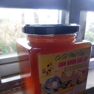 Mật ong hoa rừng Anh Khoa Gia Lai 500ml