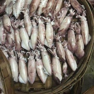 Mực hấp Bình Định