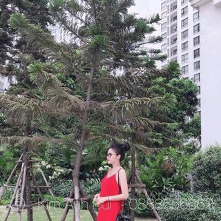 Đầm 2 dây đuôi cá chân lưới