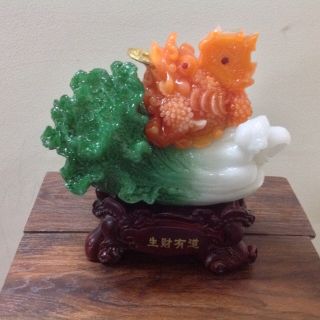 BẮP CẢI THIỀM THỪ MS BC0029