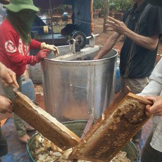 Mật ong Anh Khoa GIa Lai Nguyên Chất 1000ml