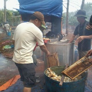Mật ong Anh Khoa GIa Lai Nguyên Chất 1000ml