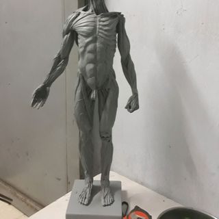 tượng anatomy chuẩn từ Đưc