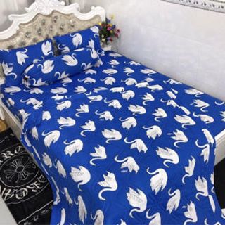 drap thun hàn quốc