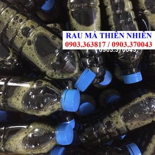 NHA ĐAM ĐƯỜNG PHÈN