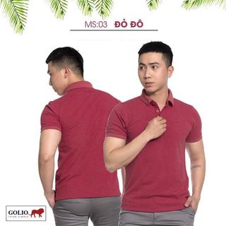 Áo phông GOLIO lịch lãm sang trọng