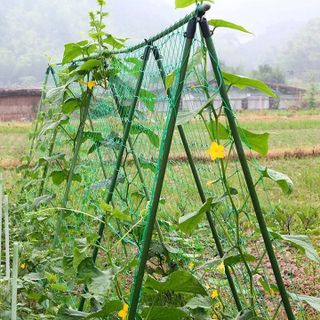 Ống thép bọc nhựa dùng làm cây đỡ hoa hồng làm giàn cỡ 20mm dài 150cm
