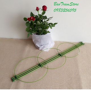 Giá đỡ hoa hồng hoa leo đa năng kích thước cao 75cm đường kính 25cm giá sỉ