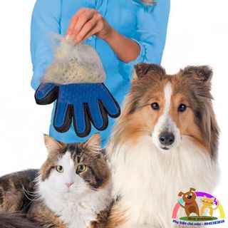 Găng tay chải lông rụng cho chó mèo giá sỉ