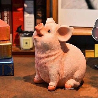 Lợn hồng siêu hót thạch cao