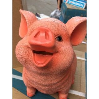 Lợn hồng siêu hót thạch cao