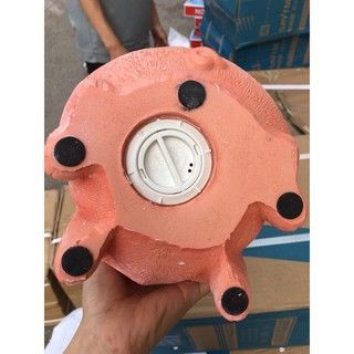 Lợn hồng siêu hót thạch cao