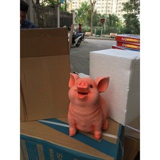 Lợn hồng siêu hót thạch cao