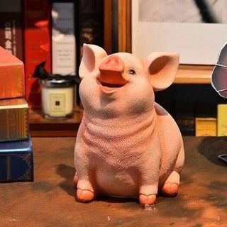Lợn hồng siêu hót thạch cao