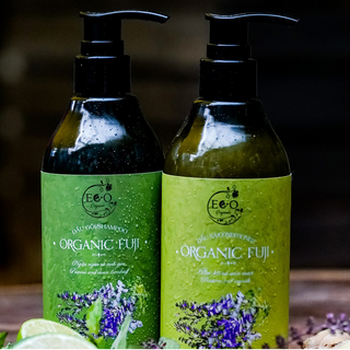 Dầu gội trị gàu và ngăn rụng tóc Eco Organic Fuji giá sỉ