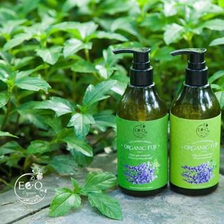 Dầu gội trị gàu và ngăn rụng tóc Eco Organic Fuji