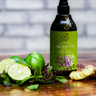 Dầu gội trị gàu và ngăn rụng tóc Eco Organic Fuji