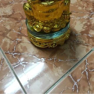 cóc xoay kỳ xoay đủ màu