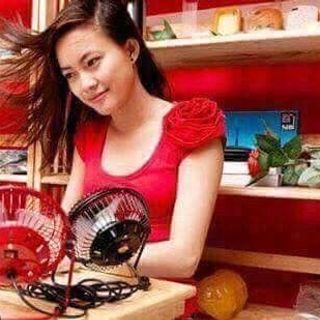 quạt cắm điện usb