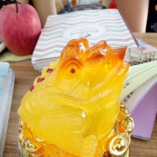 cóc vàng xoay