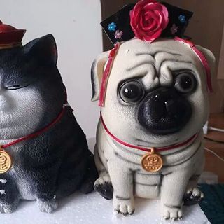 Chó cách cách mèo hoàng thượng